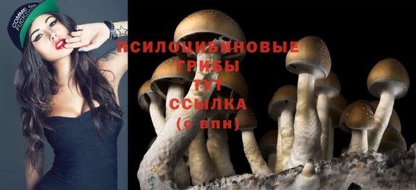 mix Надым