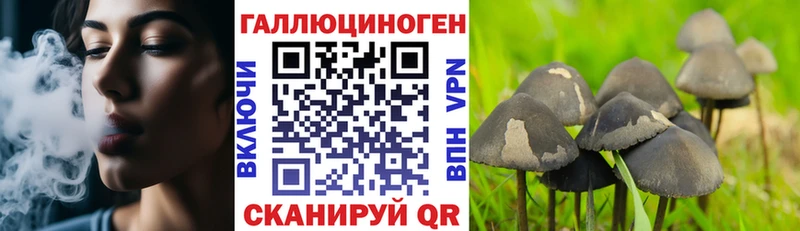 Купить где  Ряжск  Псилоцибиновые грибы Psilocybine cubensis 